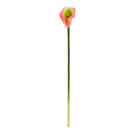 19.5” Calla Lily Artificial Flower (Set of 12) by Nearly Natural