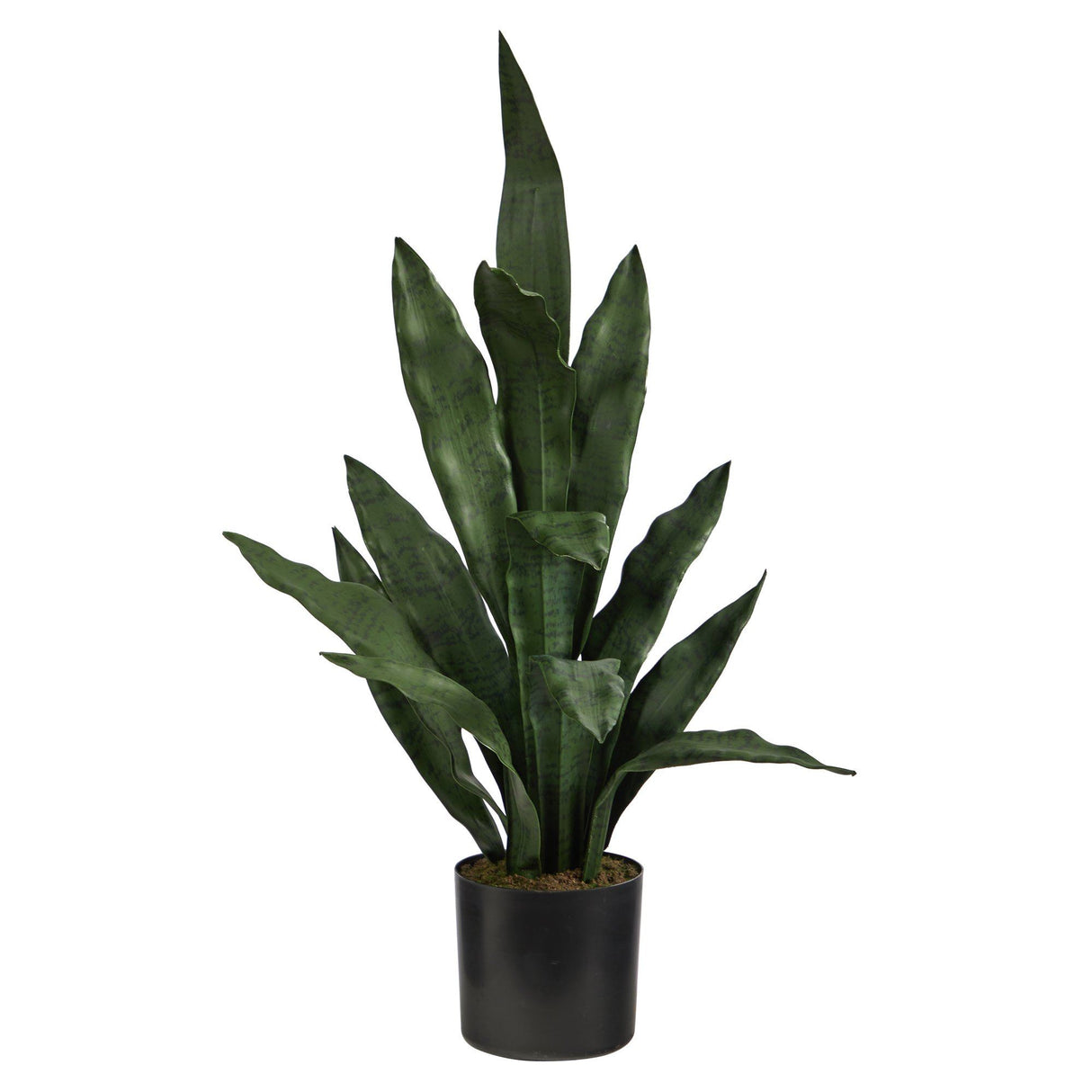 2’ Sansevieria Artificial Plant by Nearly Natural