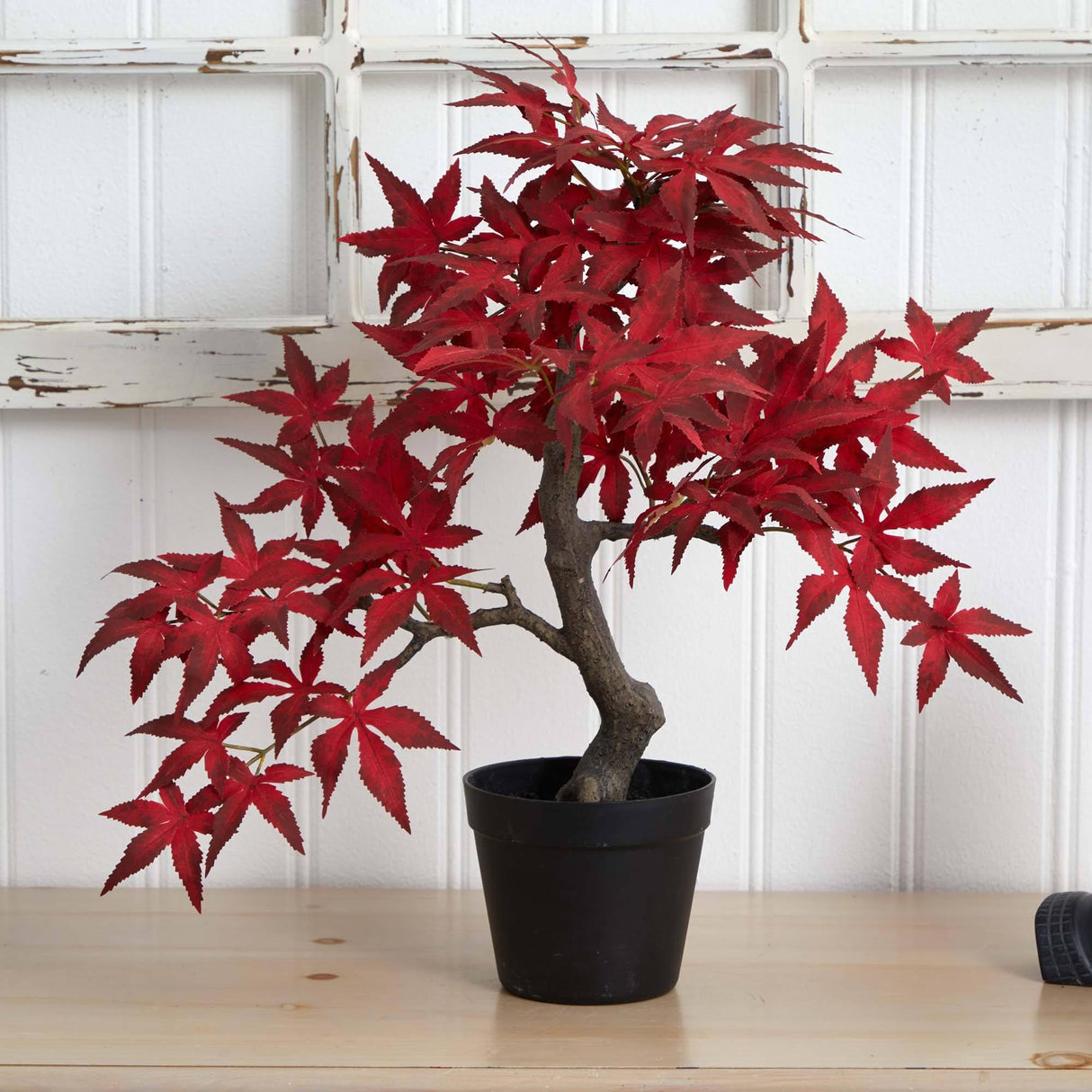 20” Autumn Maple Bonsai by Nearly Natural - Vysn