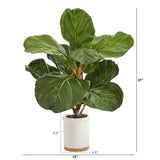 21” Fiddle Leaf Artificial Tree in White Ceramic Planter by Nearly Natural