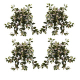 21” Hoya Hanging Bush (Set of 4) by Nearly Natural