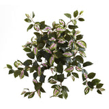 21” Hoya Hanging Bush (Set of 4) by Nearly Natural