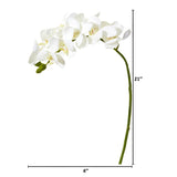 21” Artificial Phalaenopsis Orchid Flower (Set of 6) by Nearly Natural