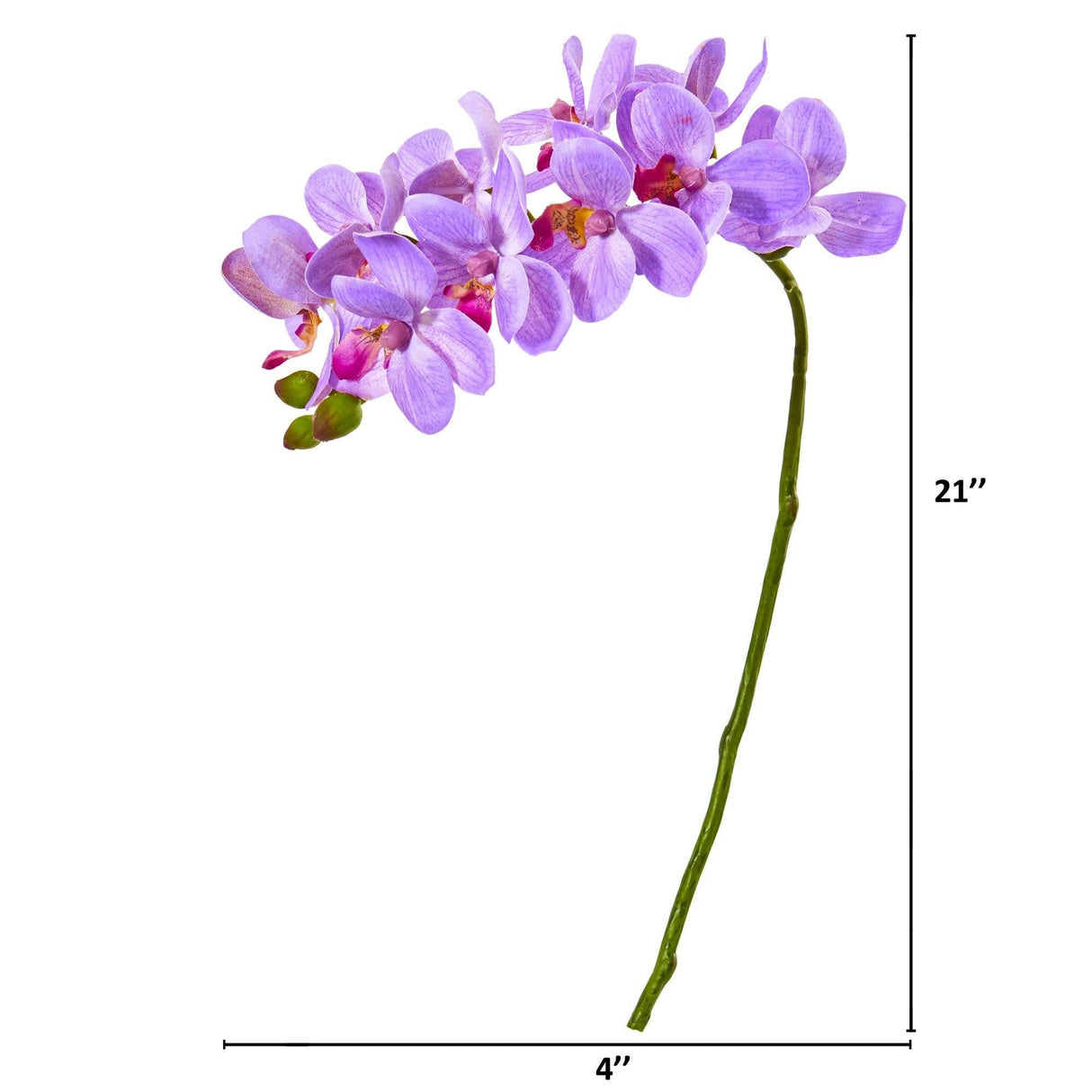 21” Artificial Phalaenopsis Orchid Flower (Set of 6) by Nearly Natural