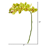 21” Artificial Phalaenopsis Orchid Flower (Set of 6) by Nearly Natural