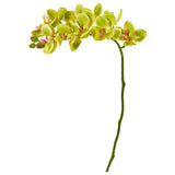 21” Artificial Phalaenopsis Orchid Flower (Set of 6) by Nearly Natural