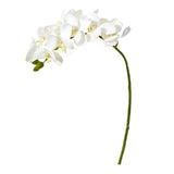 21” Artificial Phalaenopsis Orchid Flower (Set of 6) by Nearly Natural