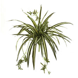 23” Spider Plant Bush (Set of 4) by Nearly Natural