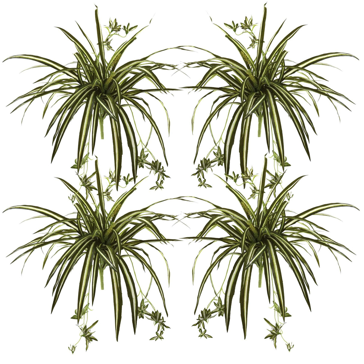 23” Spider Plant Bush (Set of 4) by Nearly Natural