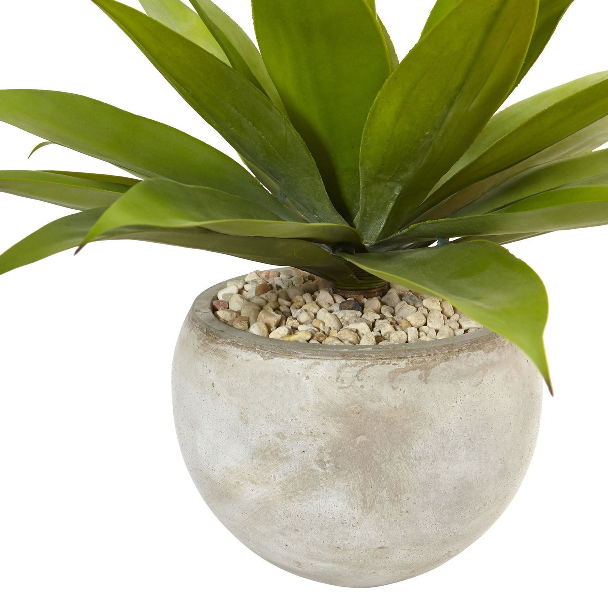 24" Agave in Sand Colored Bowl" by Nearly Natural