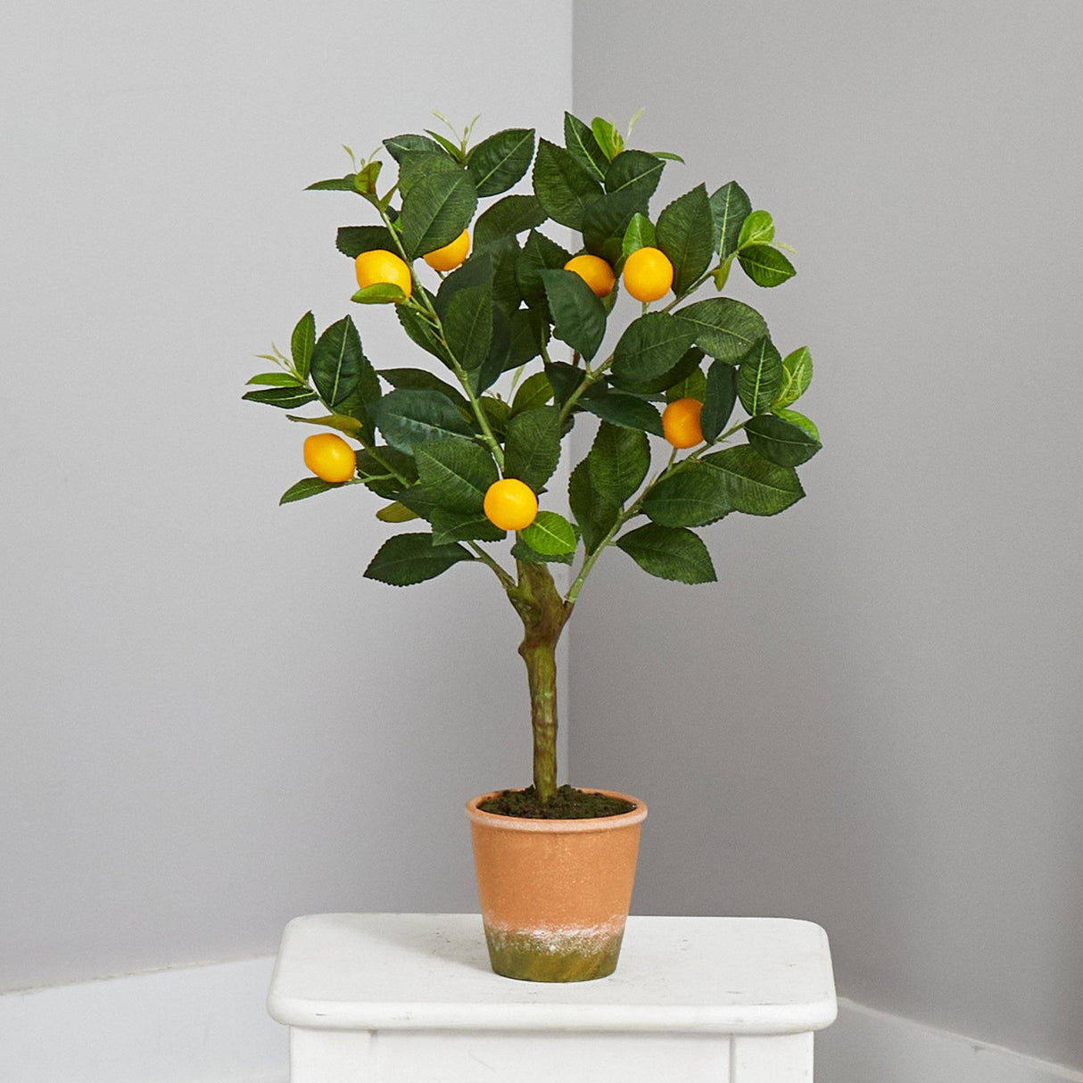 24” Lemon Artificial Tree by Nearly Natural