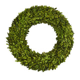 24” Preserved Boxwood Wreath by Nearly Natural