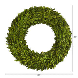 24” Preserved Boxwood Wreath by Nearly Natural