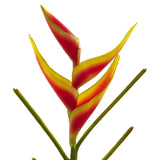 26’’ Heliconia Artificial Flower (Set of 4) by Nearly Natural