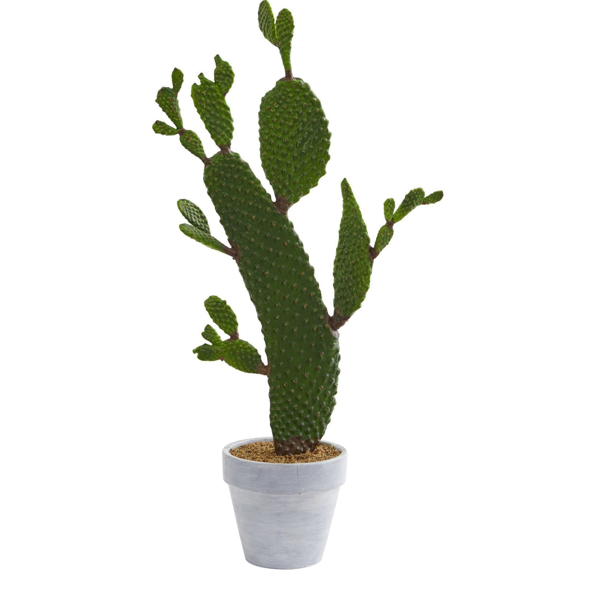 27” Cactus Artificial Plant by Nearly Natural