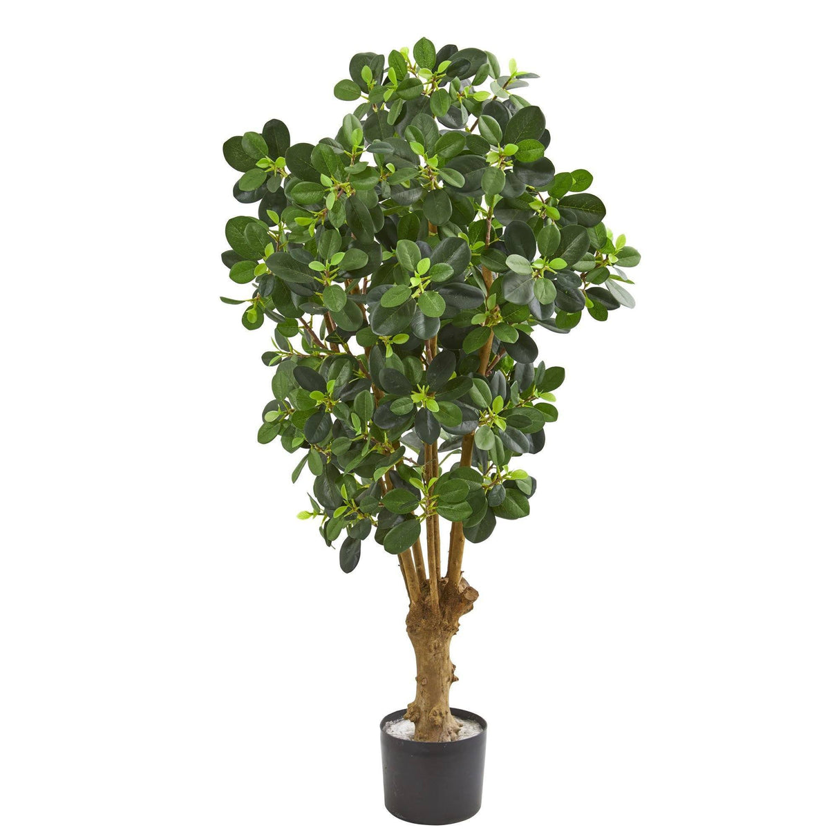 3’ Panda Ficus Artificial Tree by Nearly Natural