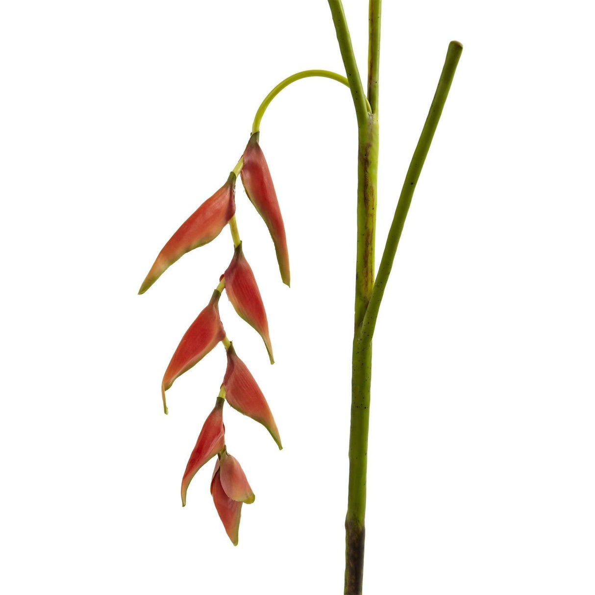 31’’ Hanging Heliconia Artificial Flower (Set of 4) by Nearly Natural