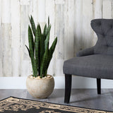 32” Sansevieria Artificial Plant in Sand Colored Planter by Nearly Natural