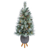 3.5’ Frosted Tip British Columbia Mountain Pine Artificial Christmas Tree by Nearly Natural