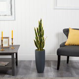 3.5’ Sansevieria Artificial Plant in Gray Planter by Nearly Natural