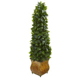 38” Sweet Bay Cone Topiary Artificial Tree in Decorative Metal Planter by Nearly Natural