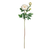 38.5" Peony w/Leaves Stem (Set of 12)" by Nearly Natural