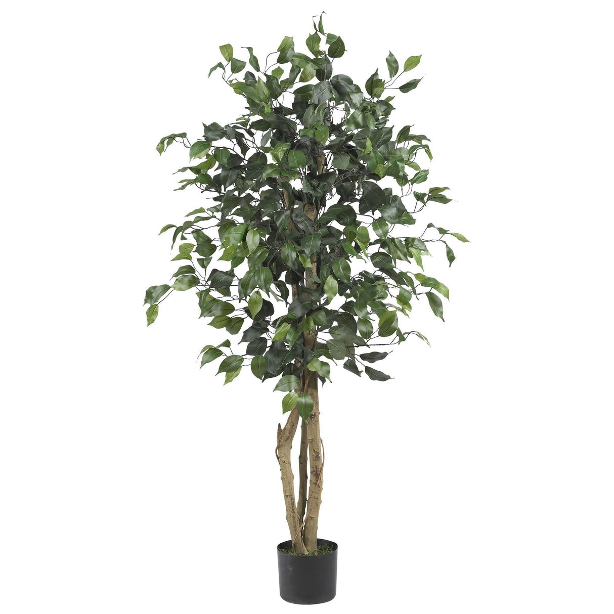 4' Ficus Auriculata Artificial Silk Tree by Nearly Natural