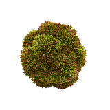 4” Sedum Artificial Succulent Artificial Spheres (Set of 6) by Nearly Natural