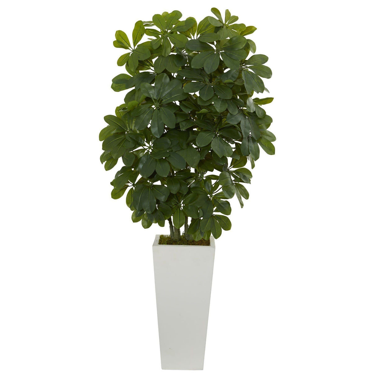 40” Schefflera  Artificial Plant in White Vase (Real Touch) by Nearly Natural