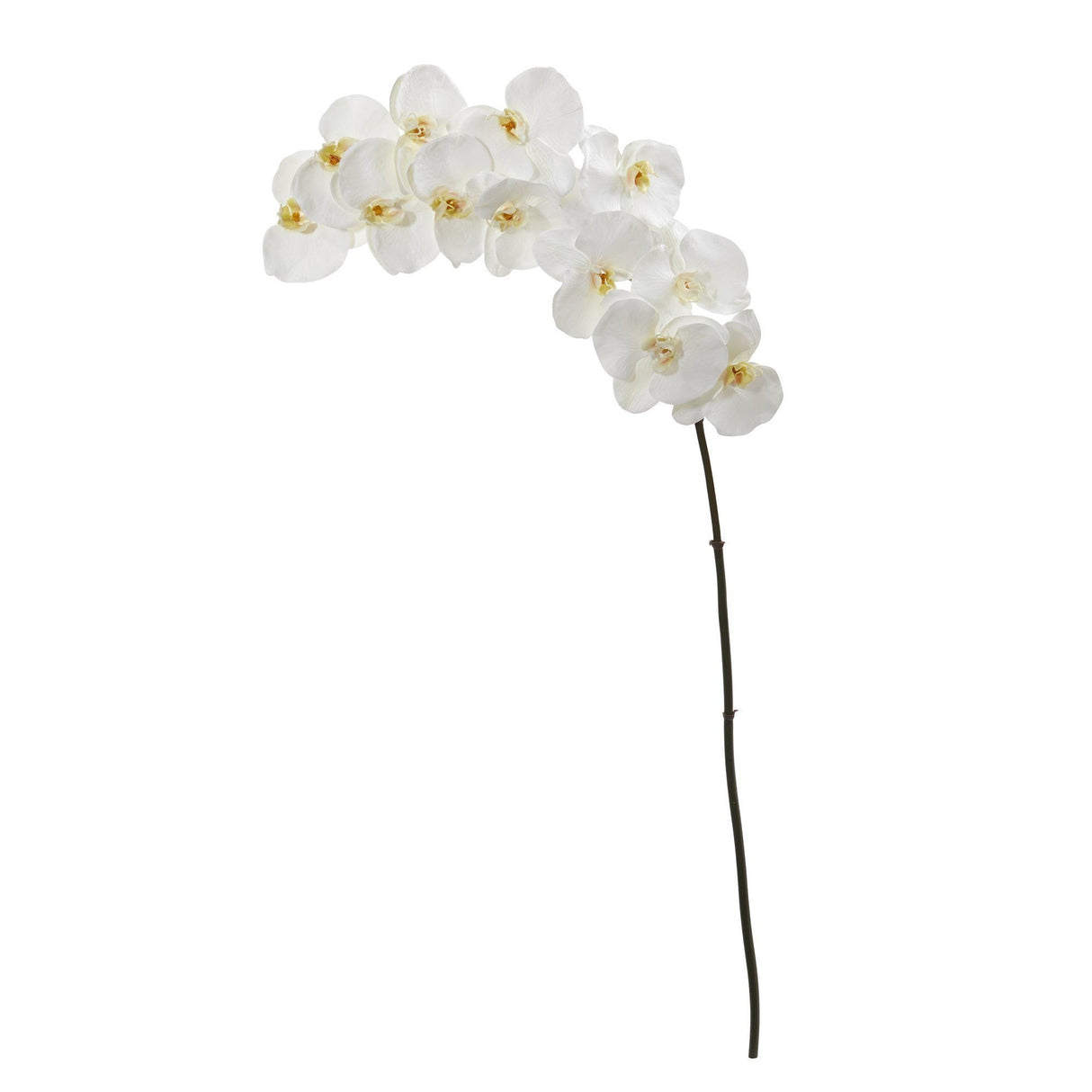 44” Phalaenopsis Orchid Artificial Flower (Set of 3) by Nearly Natural