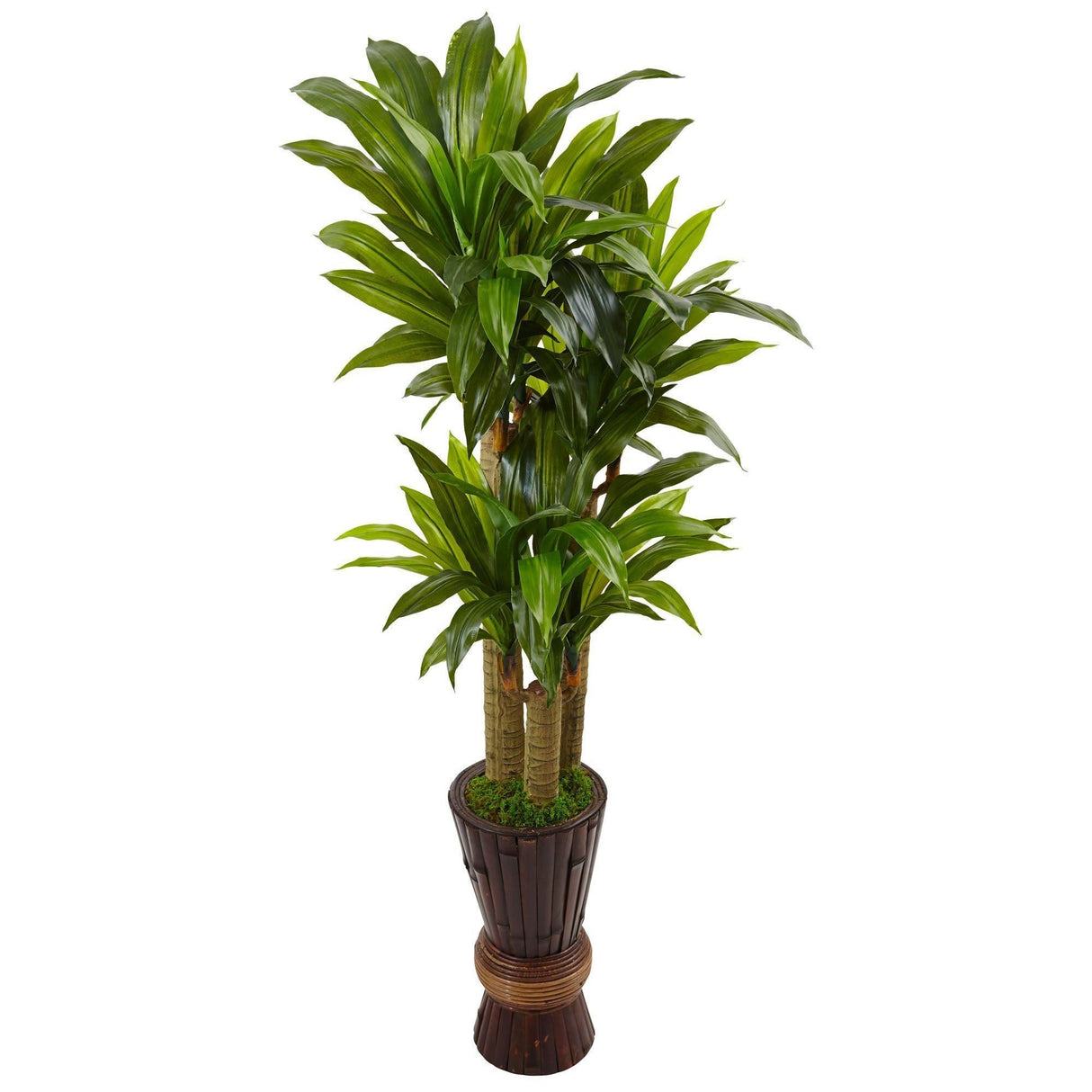 5’ Cornstalk Dracaena Artificial Plant in Planter (Real Touch) by Nearly Natural