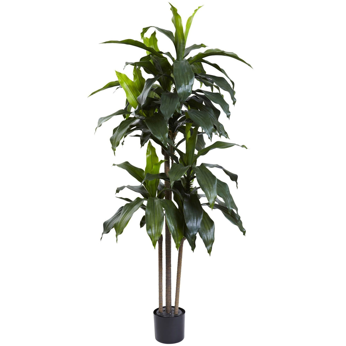 5’ Dracaena Plant UV Resistant (Indoor/Outdoor) by Nearly Natural