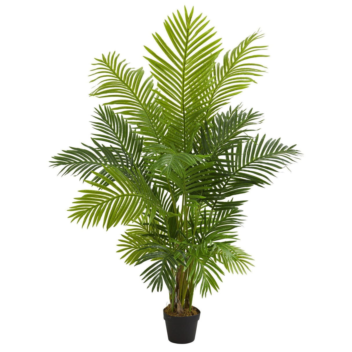 5’ Hawaii Palm Artificial Tree by Nearly Natural