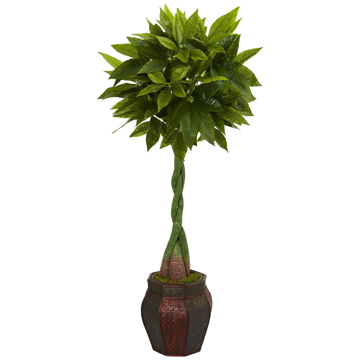 5’ Money Artificial Tree in Decorative Planter by Nearly Natural