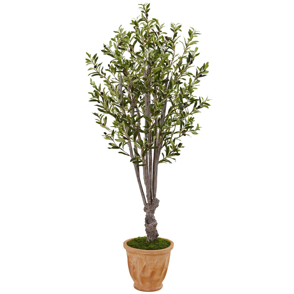 5’ Olive Tree in Terracotta Planter by Nearly Natural