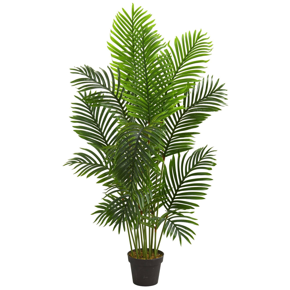 5’ Paradise Palm Artificial Tree by Nearly Natural