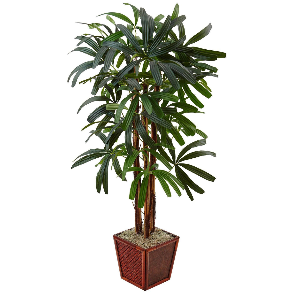 5’ Raphis Palm Tree in Bamboo Planter by Nearly Natural