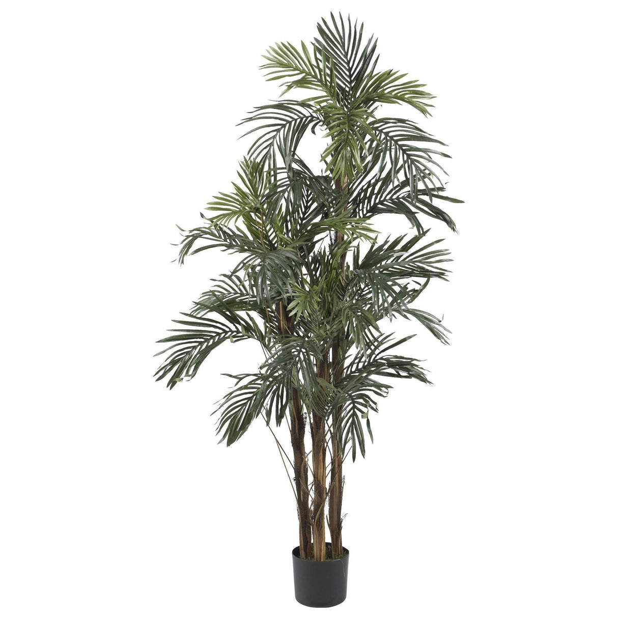 5' Robellini Palm Silk Tree by Nearly Natural