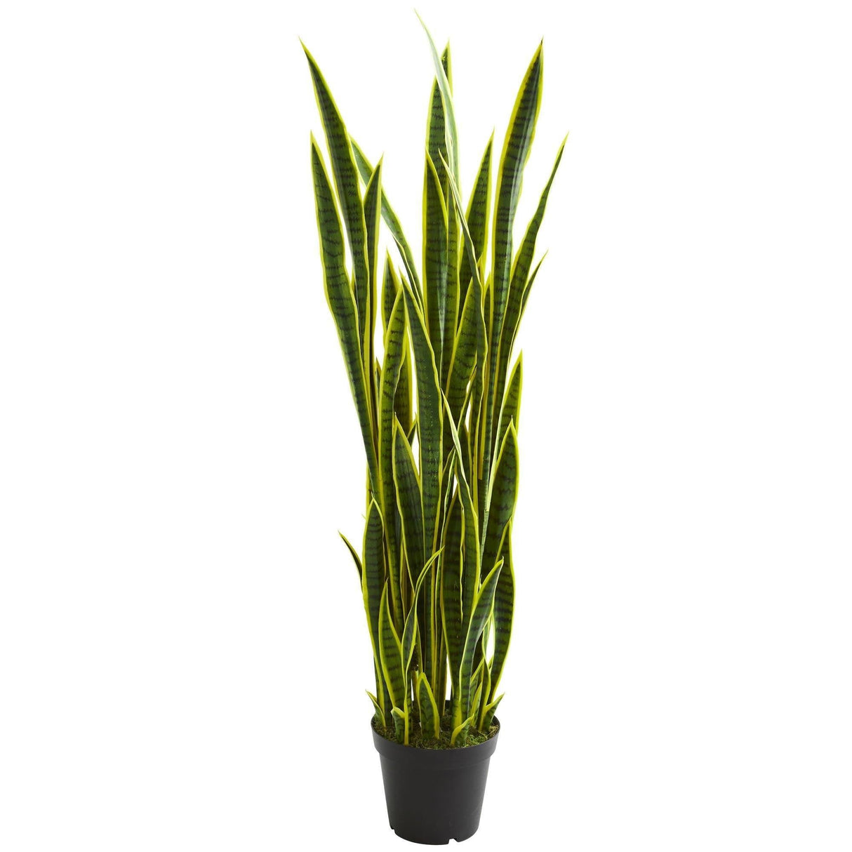 5’ Sansevieria Artificial Plant by Nearly Natural