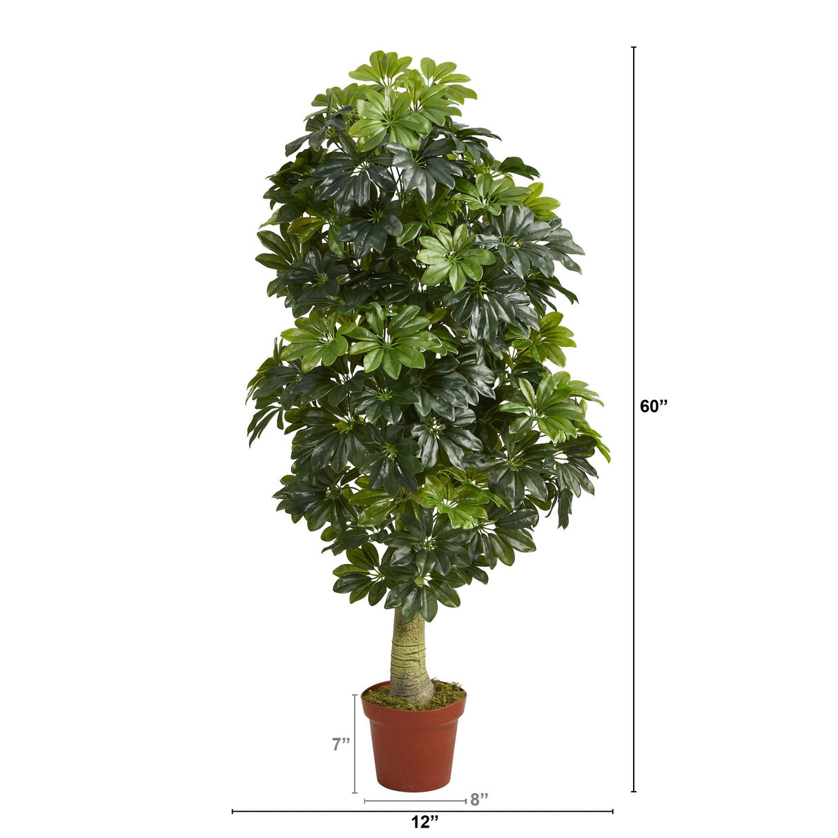 5' Schefflera Artificial Tree (Real Touch) by Nearly Natural