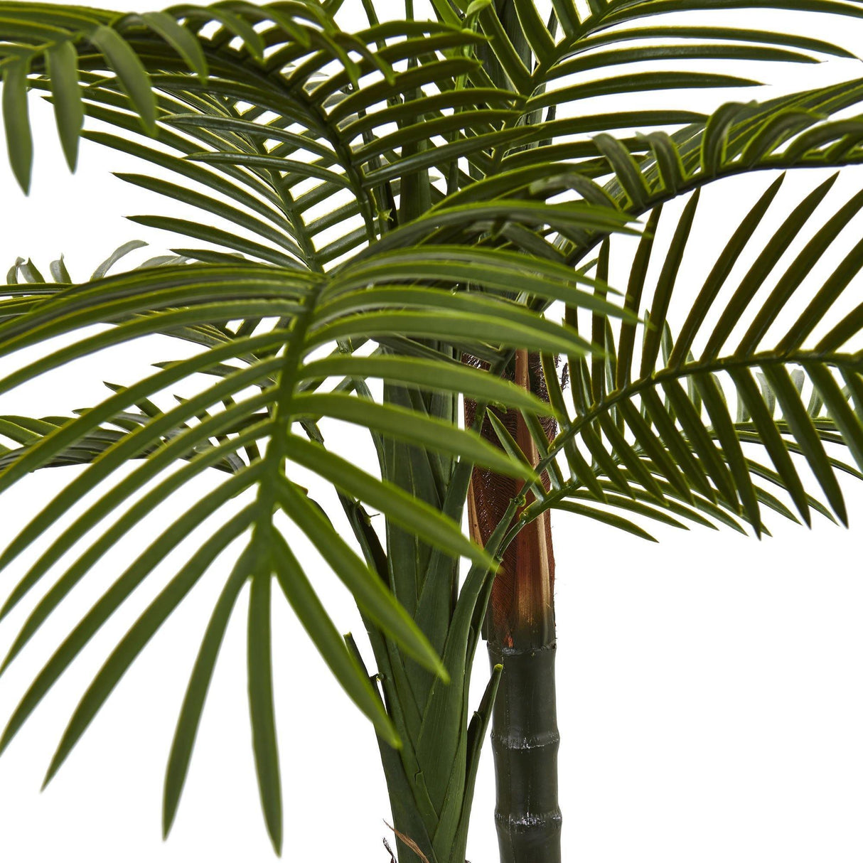 5.5’ Double Robellini Palm Tree UV Resistant (Indoor/Outdoor) by Nearly Natural