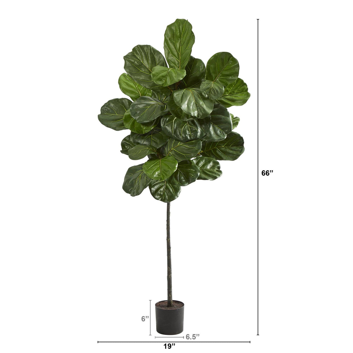 5.5’ Fiddle Leaf Artificial Tree by Nearly Natural