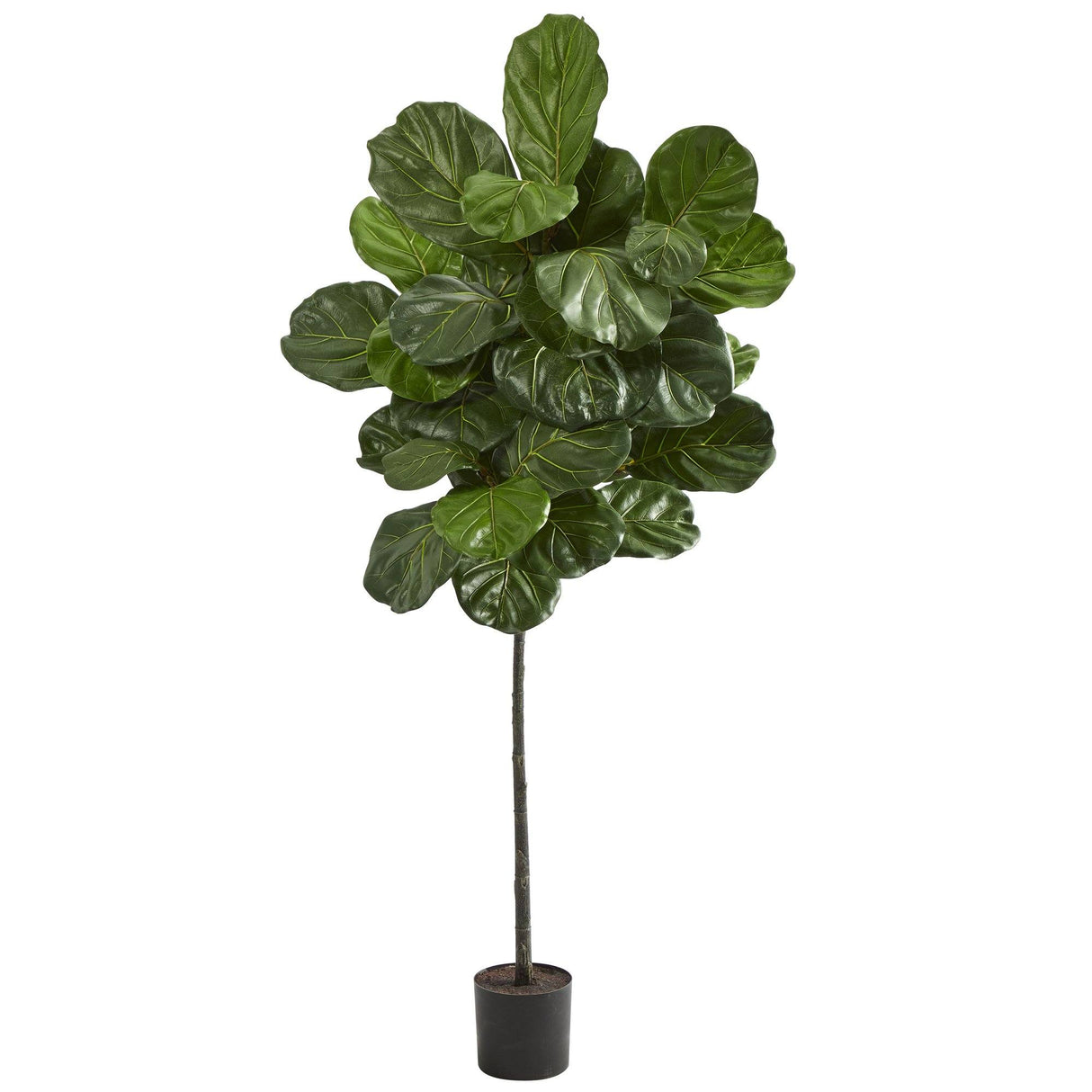 5.5’ Fiddle Leaf Artificial Tree by Nearly Natural