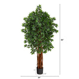 5.5’ Lychee Artificial Tree with Natural Trunk by Nearly Natural