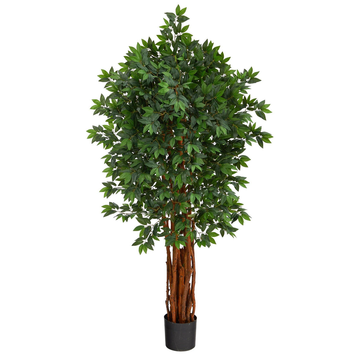 5.5’ Lychee Artificial Tree with Natural Trunk by Nearly Natural