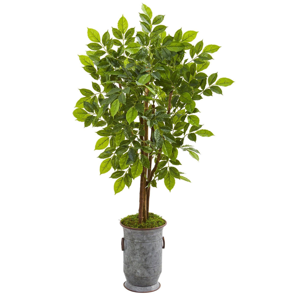 55” River Birch Artificial Tree in Decorative Planter by Nearly Natural