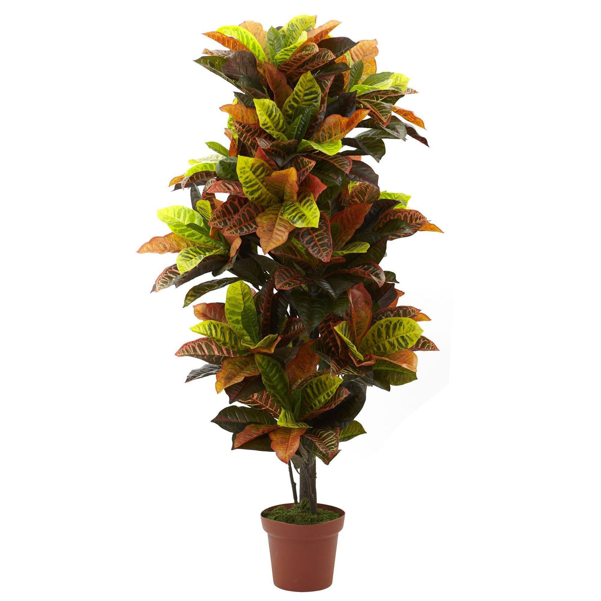 56” Croton Plant (Real Touch) by Nearly Natural