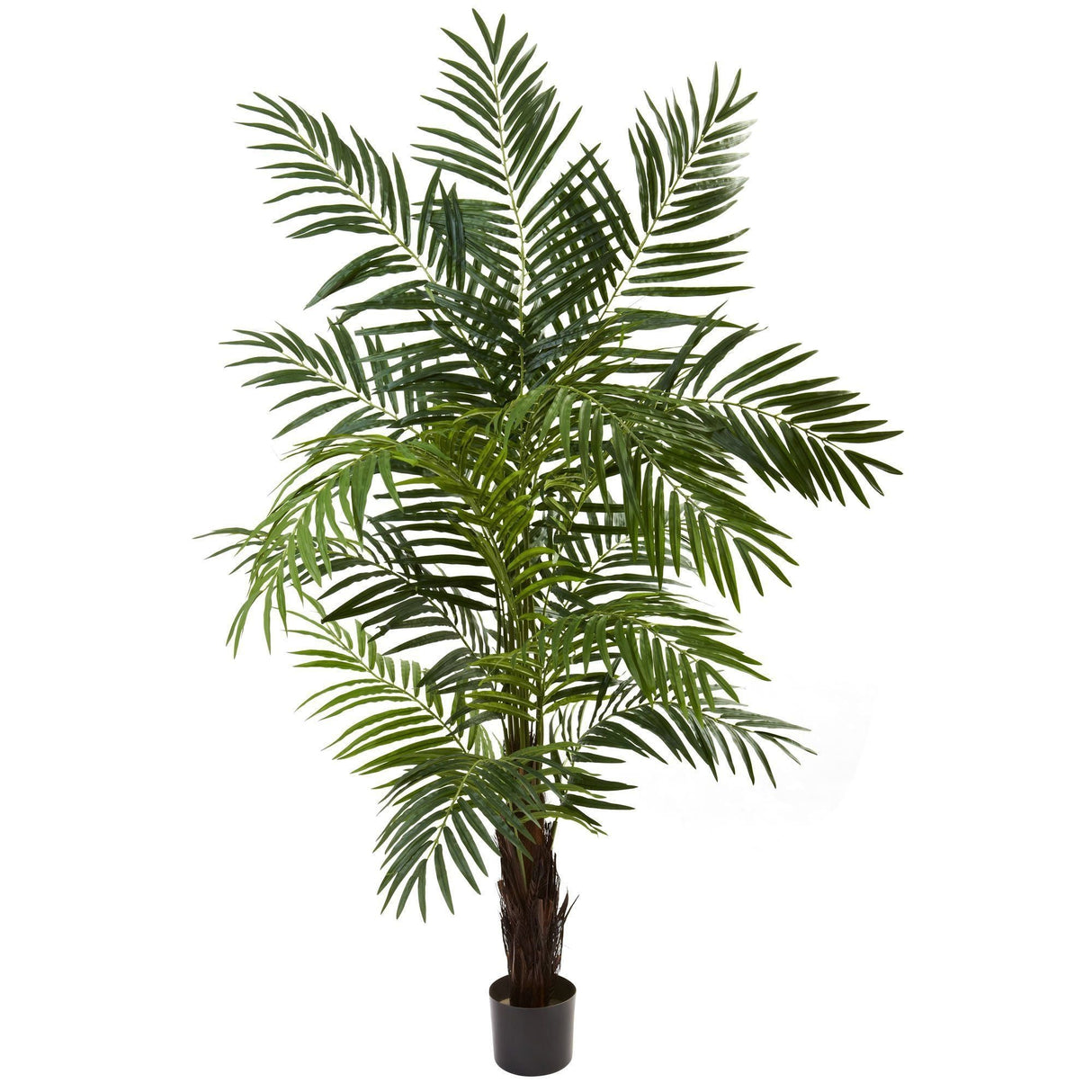 6’ Areca Palm Tree by Nearly Natural