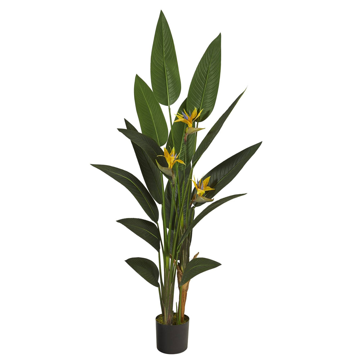 6’ Bird of Paradise Artificial Plant by Nearly Natural