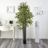 6' Black Bamboo Tree UV Resistant (Indoor/Outdoor) by Nearly Natural